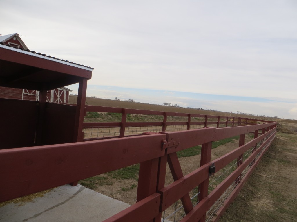 Stained fence