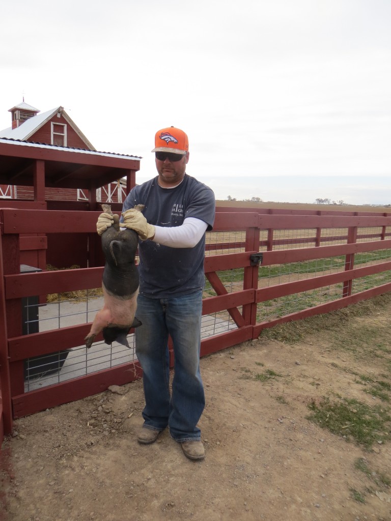 Hubby and pig